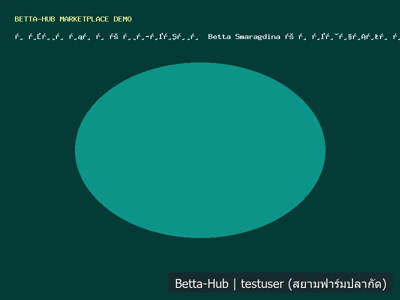 ปลากัดป่าอีสาน Betta Smaragdina เขียวมรกต ตัวคึก สู้พองดี