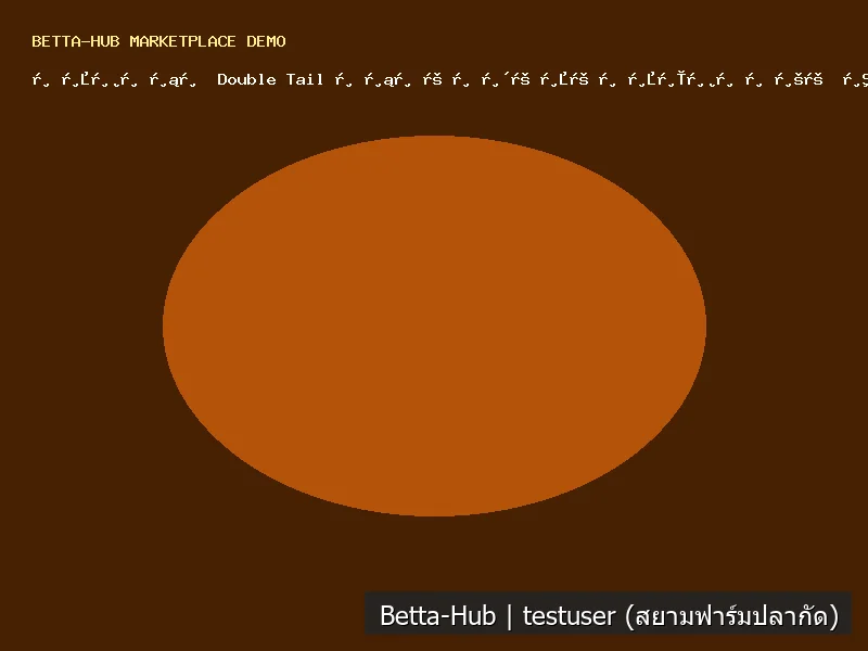 ปลากัด Double Tail ดับเบิ้ลเทลหางคู่ สีคอปเปอร์ Copper