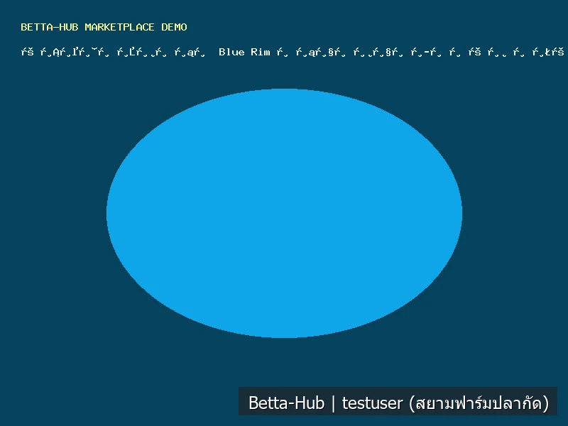 เมียปลากัด Blue Rim ตัวขาวขอบฟ้า พร้อมผสมพันธุ์
