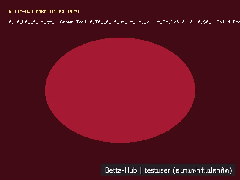 ปลากัด Crown Tail หางมงกุฎ สีแดงสด Solid Red ฟอร์มเข้ม
